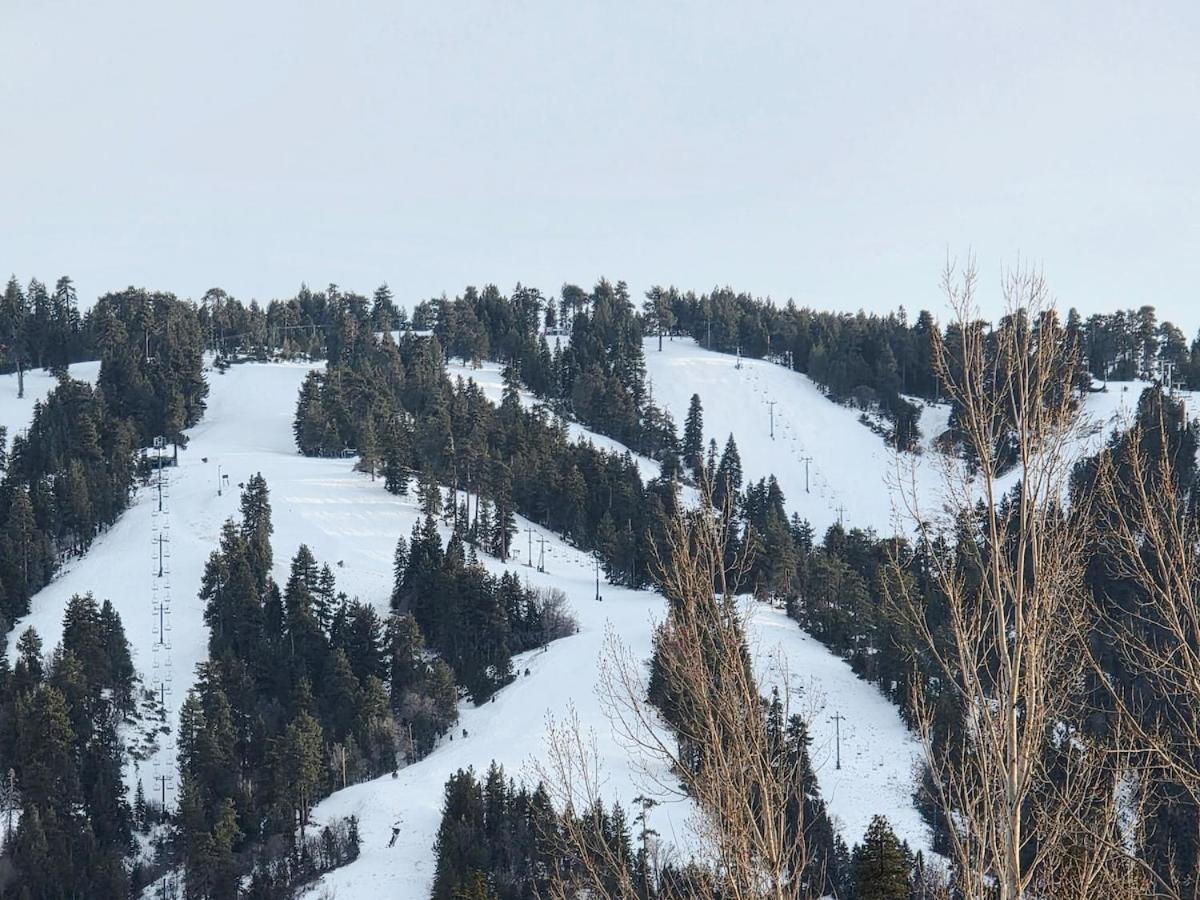 Bear Escapes II Affordable Luxury Cabin Sugarloaf Bagian luar foto