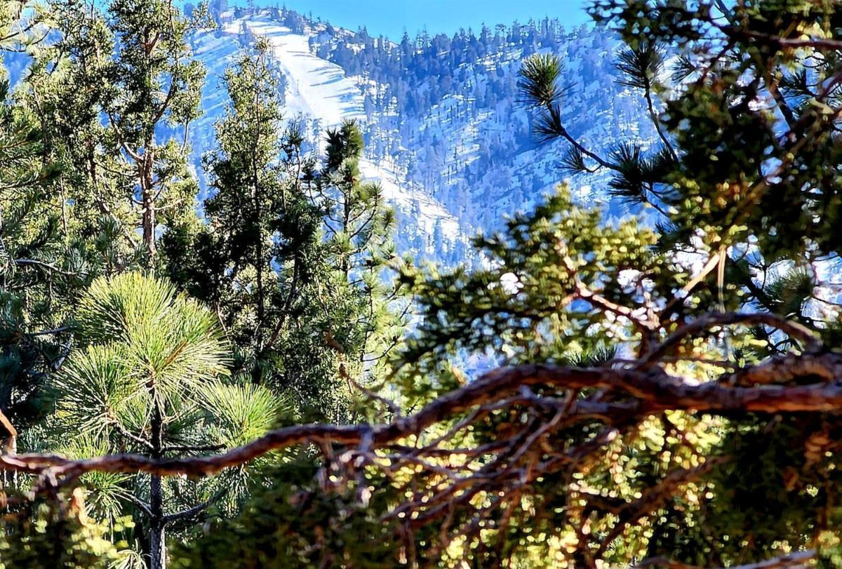 Bear Escapes II Affordable Luxury Cabin Sugarloaf Bagian luar foto