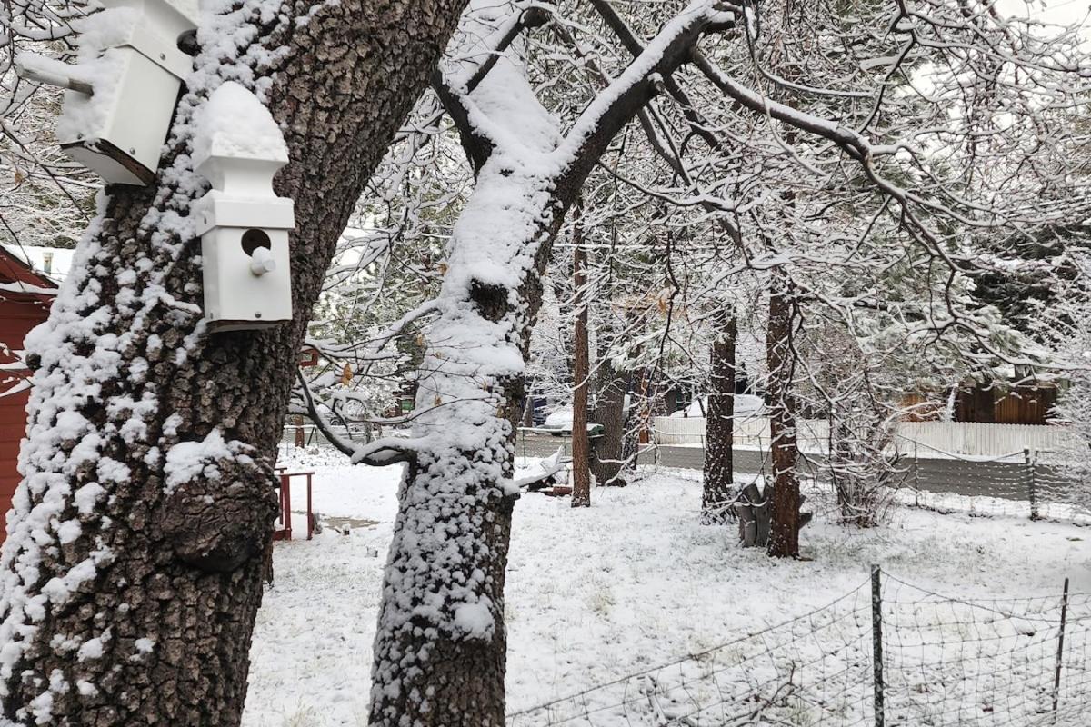 Bear Escapes II Affordable Luxury Cabin Sugarloaf Bagian luar foto