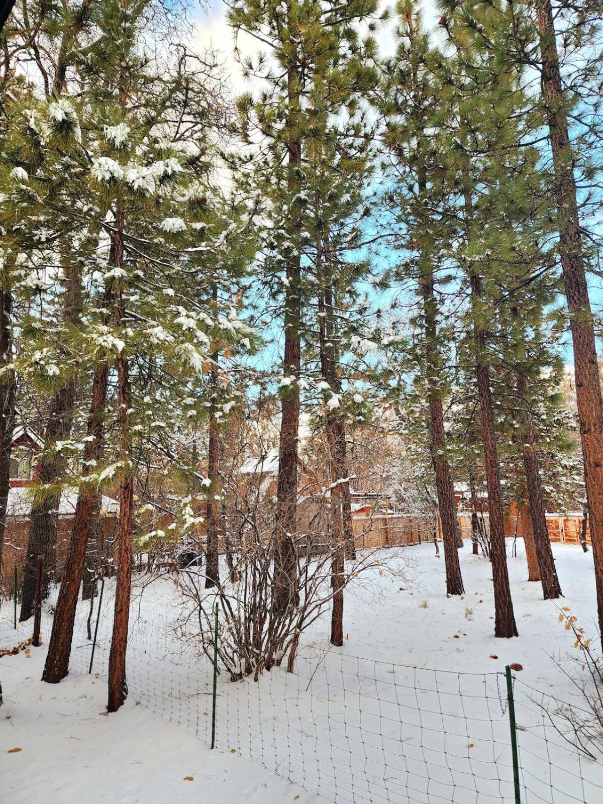Bear Escapes II Affordable Luxury Cabin Sugarloaf Bagian luar foto